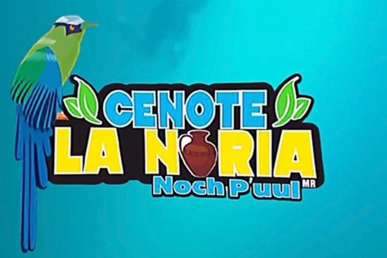 Cancun: Adventure at Cenote La Noria with ATVs, Zip Lines and a Cenote Cancun: Adventure in Cenote La Noria with ATVs, Zip Lines and Cenote