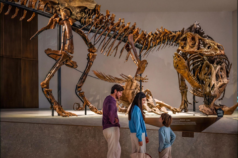 Abu Dhabi: Louvre, Zayed & Natural History Museum Pass Abu Dhabi : Louvre, Zayed & Natural History Museum Pass