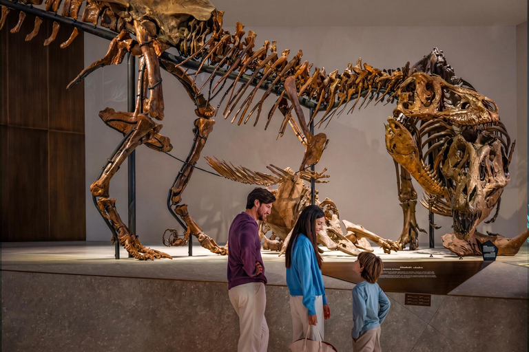 Abu Dhabi: Louvre, Zayed & Natural History Museum Pass Abu Dhabi : Louvre, Zayed & Natural History Museum Pass