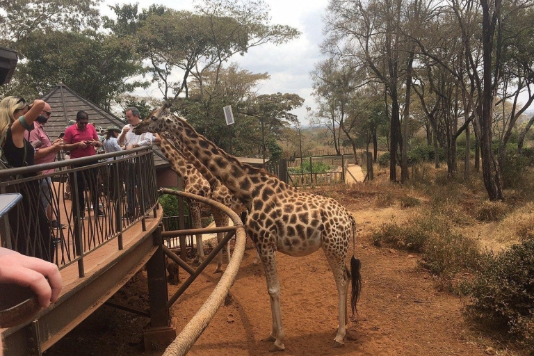 Nairobi: Elefantenwaisenhaus und Giraffenzentrum TagestourElefantenwaisenhaus und Giraffenzentrum Tagestour