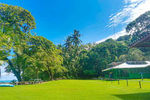 Uvita: Corcovado Rainforest & Wildlife Adventure