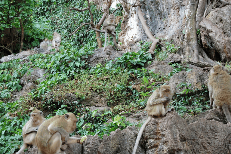 Phuket: Bamboo Rafting, ATV Ride, & Turtle Center Tour