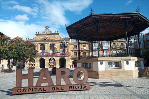 Haro La Rioja: City Tour Express + Tasting Tasting of 4 wines