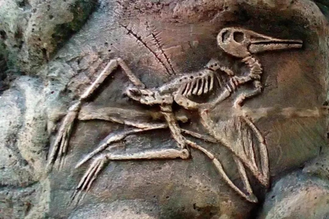 Sunrise at Nglanggeran Volcano, Jomblang Cave & Timang Tour