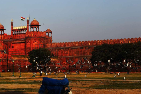 Z Delhi: prywatna wycieczka krajoznawcza po starej i nowej części DelhiWszystko w cenie