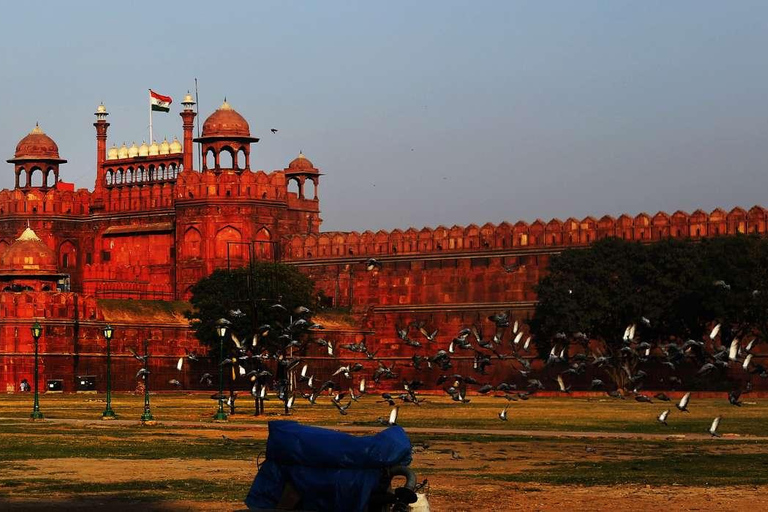 Z Delhi: prywatna wycieczka krajoznawcza po starej i nowej części DelhiWszystko w cenie