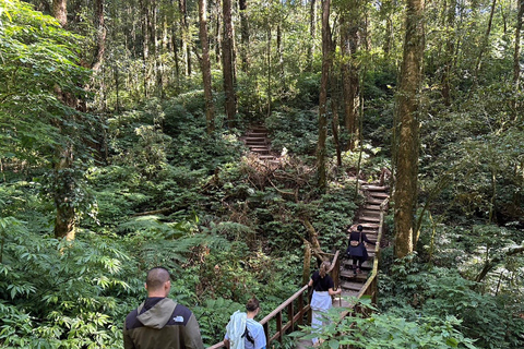 Chiang Mai: Doi Inthanon Summit & Kew Mae Pan Trail Hotel Pickup and Drop-Off (Within Pickup Area)
