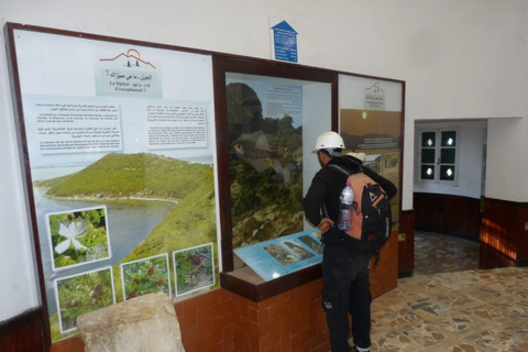 Tunezyjska przygoda: Jaskinie, przyroda i kultura w 5 dni