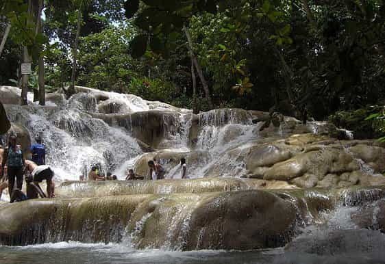 excursão destaques das cataratas do rio dunn e fern gully