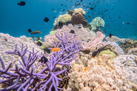 Z Koh Chang: 4 wyspy Snorkel &amp; Beach Tour dużą łodziąRejs wycieczkowy na 4 wyspy: Z transferem do hotelu