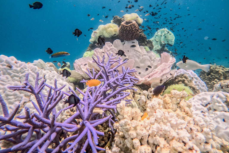 Z Koh Chang: 4 wyspy Snorkel &amp; Beach Tour dużą łodziąRejs wycieczkowy na 4 wyspy: Z transferem do hotelu