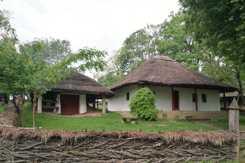 Visita panorâmica de Bucareste com três paragens e duas visitas.