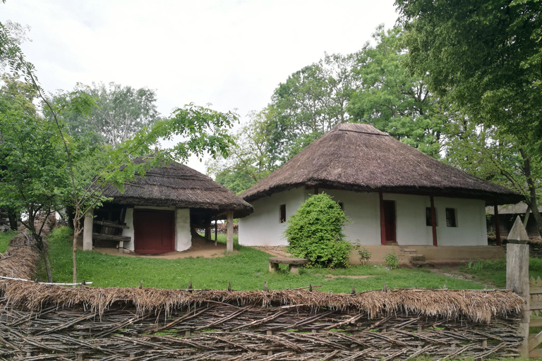 Visita panorâmica de Bucareste com três paragens e duas visitas.