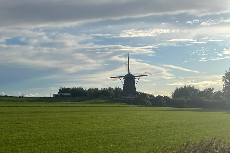 Cruise Port Amsterdam: Private Tour by Luxury Van Customized Private Tour - 7 hours