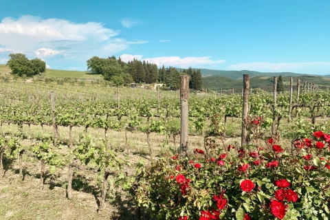 De Florence: visite des vignobles du Chianti avec dégustationVisite des vignobles de Chianti Hills en italien avec dégustation