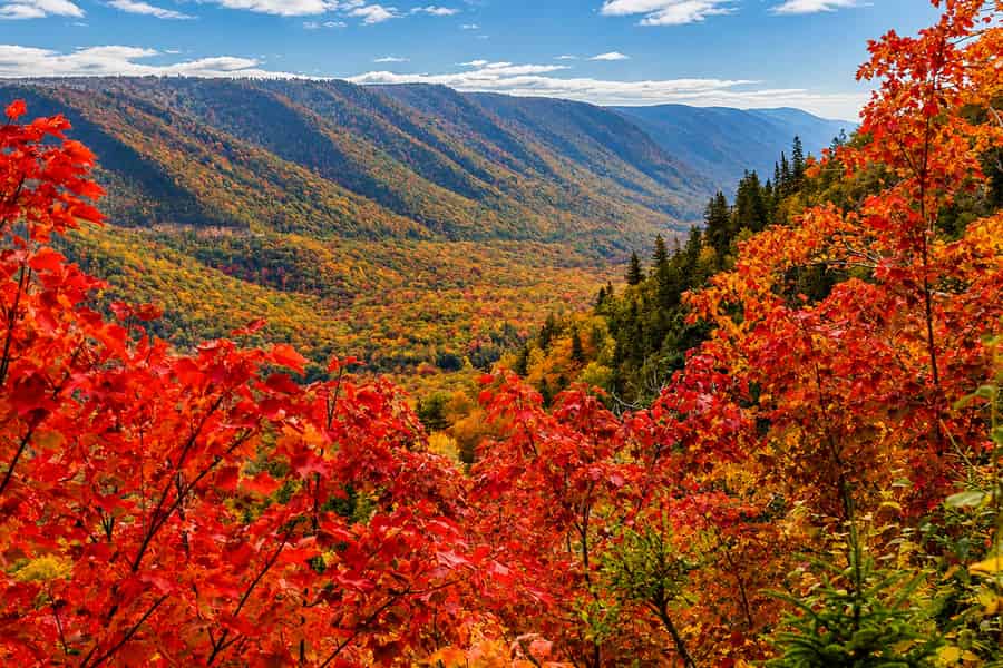 Geführte Tour auf dem Cabot Trail und in Baddeck - Sydney, Cape Breton. Foto: GetYourGuide Geführte Tour auf dem Cabot Trail und in Baddeck - Sydney, Cape Breton. Foto: GetYourGuide