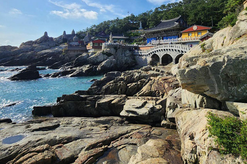 Busan Top Attractions 2-Day Tour from Seoul