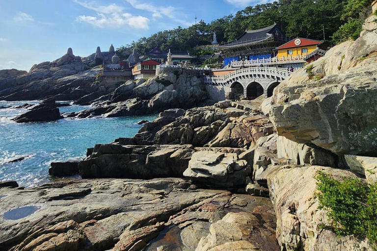 Busan Top Attractions 2-Day Tour from Seoul