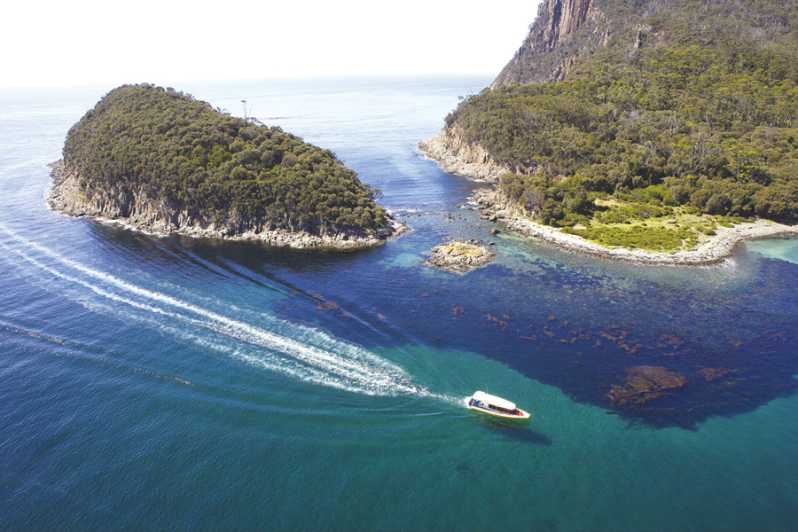 bruny island wilderness coast eco tour from hobart