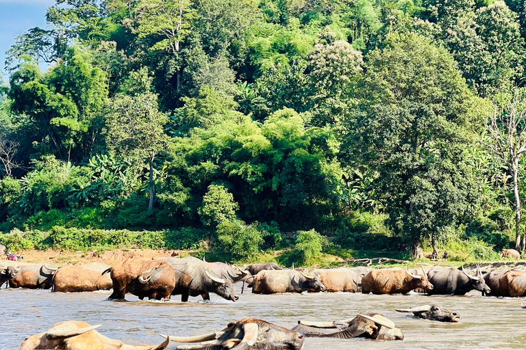 Chiangmai Halbtagestour - Wasserfall & Tubing