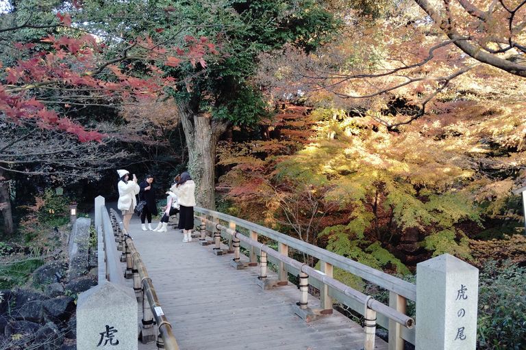 Nagoya: Exploring the Beauty of Tokugawa-en Garden