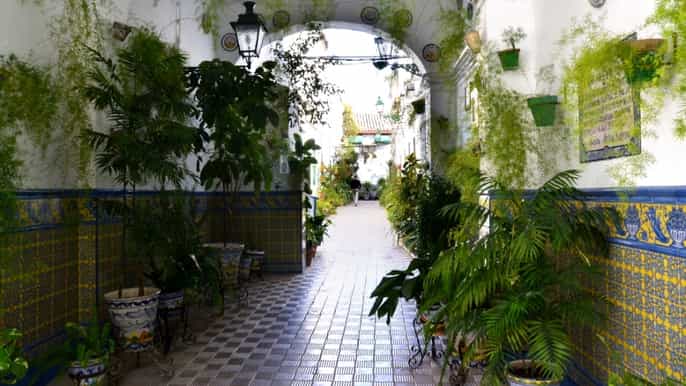 off the beaten path market walking tour