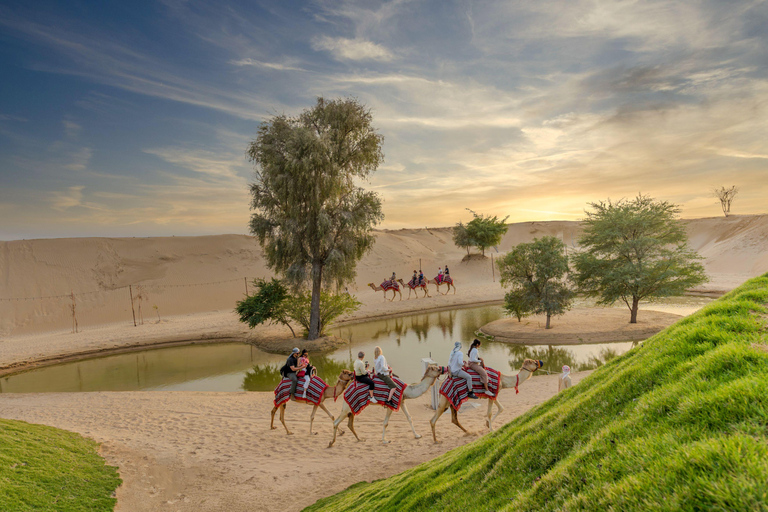 Dubai: Full-Day Desert Safari, Wildlife at Al Marmoom Oasis Shared Tour & Shared Tent