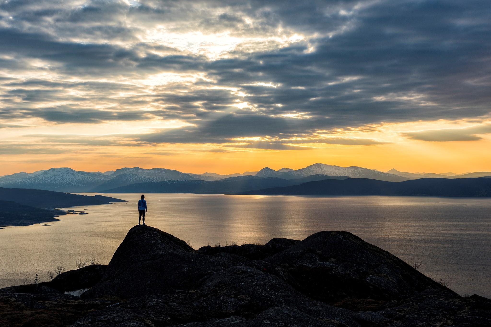 Narvik: Geführte Tour zu den Fjorden und zur Mitternachtssonne
