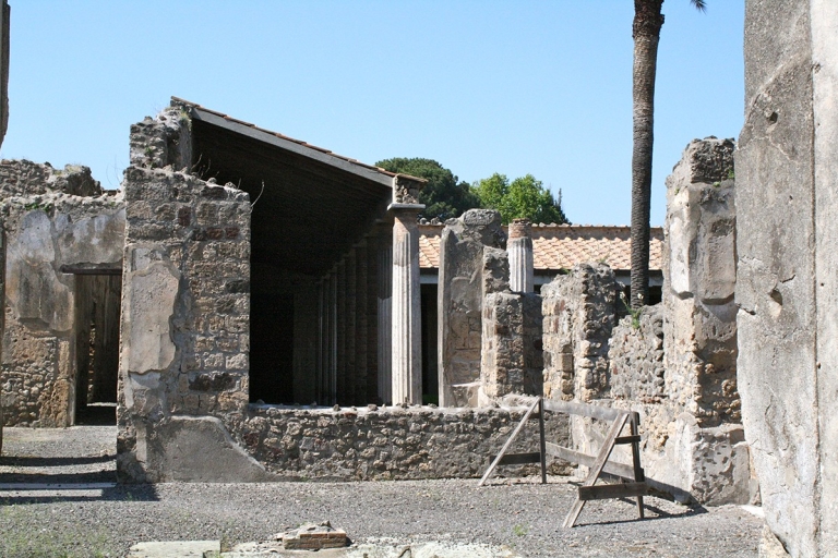 Private 2.5-Hour Pompeii Tour