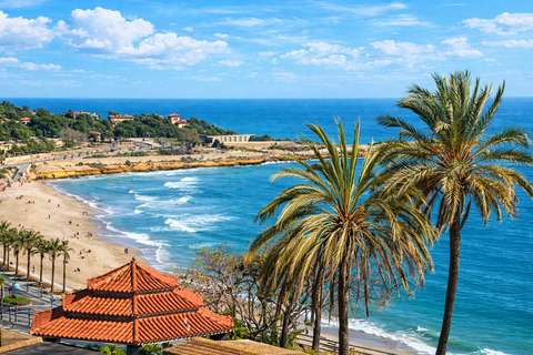 From Barcelona: Tarragona Private Tour with Expert & Driver