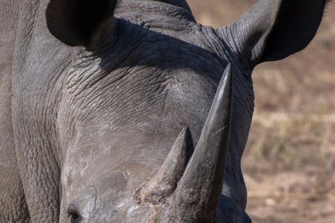 Mosi-oa-Tunya National Park Game Drive Plus Rhino Short Walk