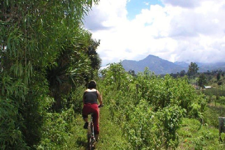 Excursion d'une demi-journée en vélo de montagne à San Andrés Itzapa