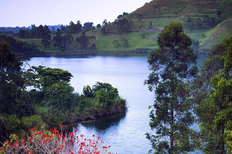 Uganda: 4-Day Wildlife Safari and Crater lake Tour