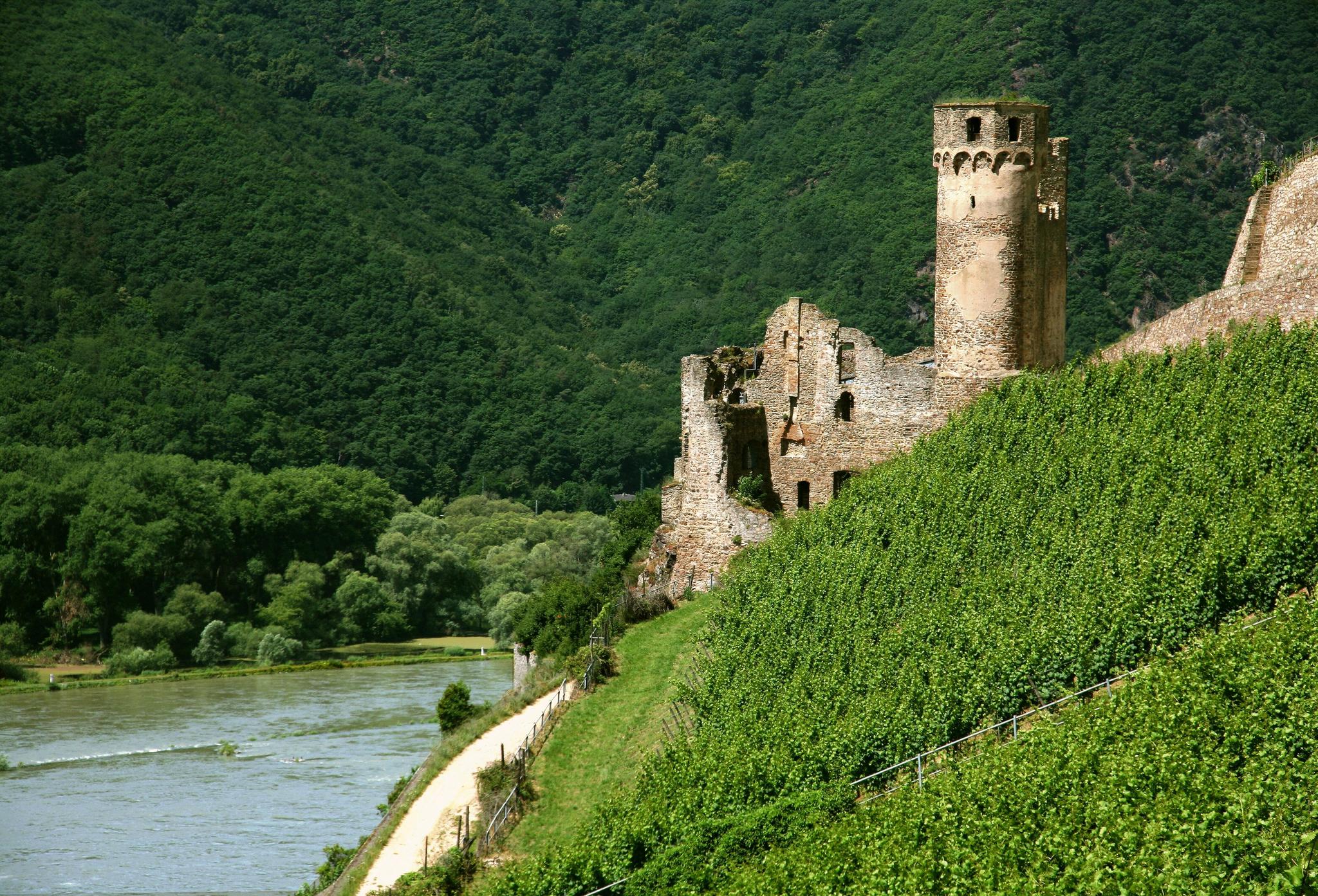Ab Rüdesheim: 1,5-stündige Schifffahrt mit Weinverkostung