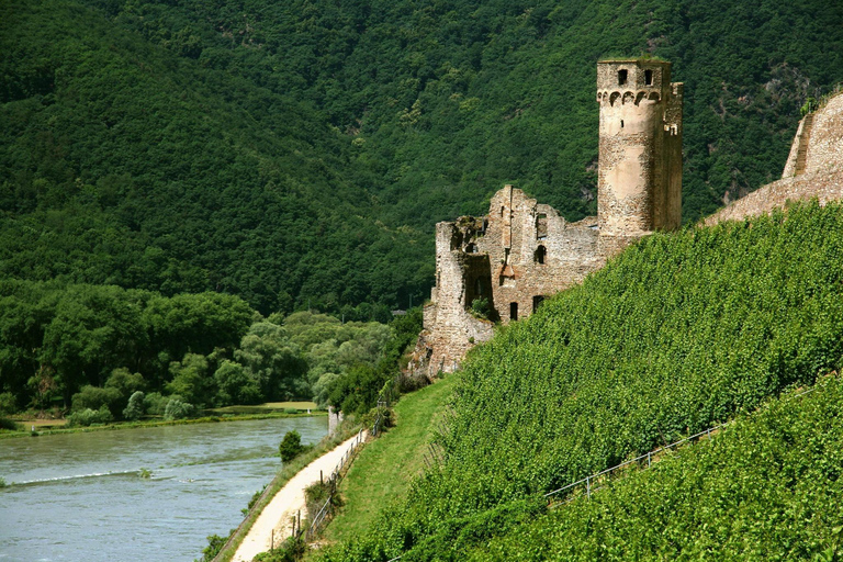 Au départ de Rüdesheim : croisière en bateau d'une heure et demie avec dégustation de vinAu départ de Rüdesheim : croisière en bateau de 1,5 heure avec dégustation de vins