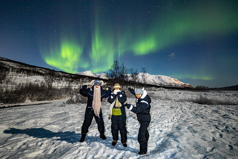 Desde Tromsø: Persecución de auroras boreales con fotos y cena