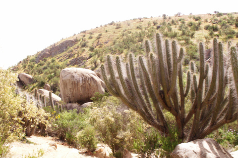 Chile: Das verzauberte Tal der atlantischen Schamanen Zeremonienstätte