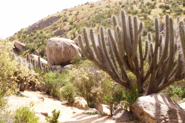 Chile: Das verzauberte Tal der atlantischen Schamanen Zeremonienstätte