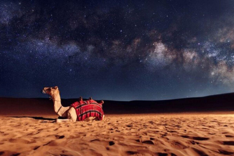 Doha: Desert Safari with BBQ Dinner, Camel Ride & More
