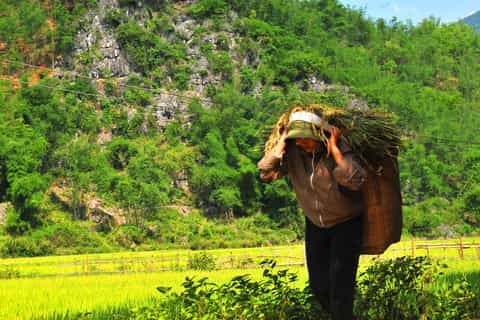 Full-Day Bike Tour of Mai Chau from Ha Noi