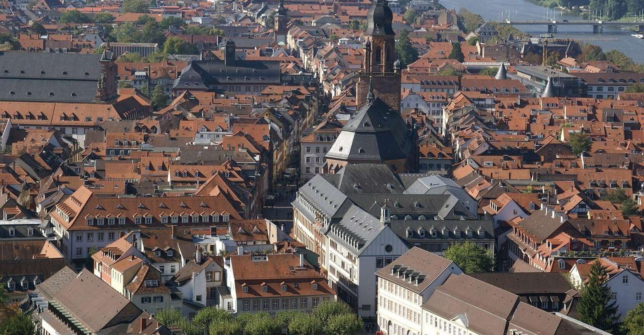 Visita guidata privata di Heidelberg da Francoforte in treno - Hizvo