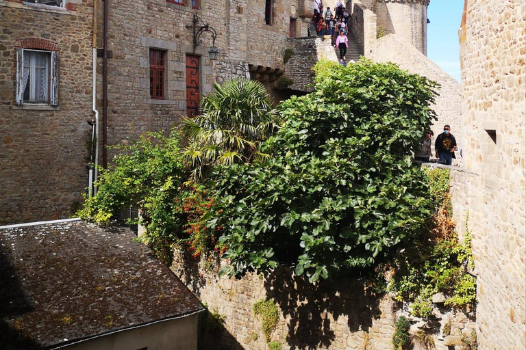 Mont Saint Michel : tour de día completo con guía privado desde París