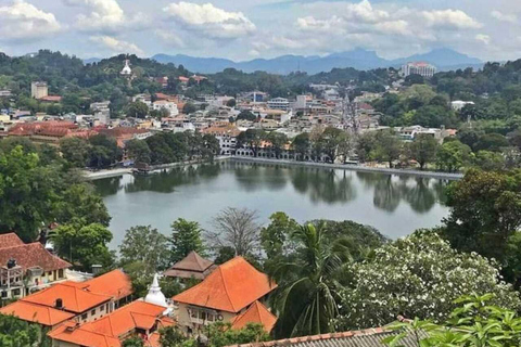 Kandy: Temple of Tooth, Train Ride, & Cave Waterfall Tour