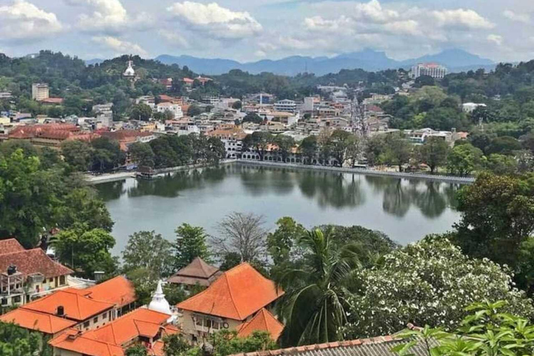 Kandy: Temple of Tooth, Train Ride, & Cave Waterfall Tour