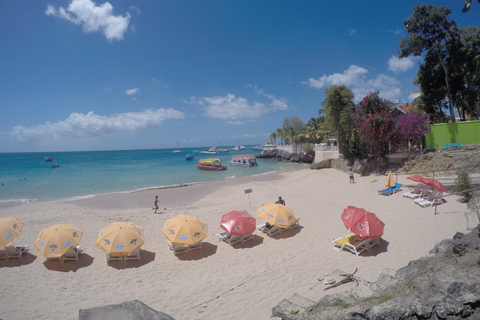 Tobago: Tour en barco con fondo de cristal y lo más destacado