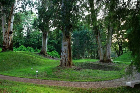 From Batumi: Georgian Amazon & Kolkheti Park Tour