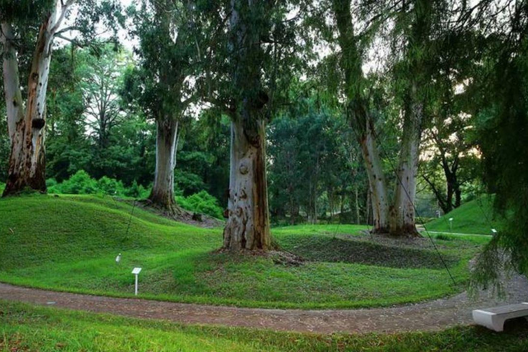 From Batumi: Georgian Amazon & Kolkheti Park Tour