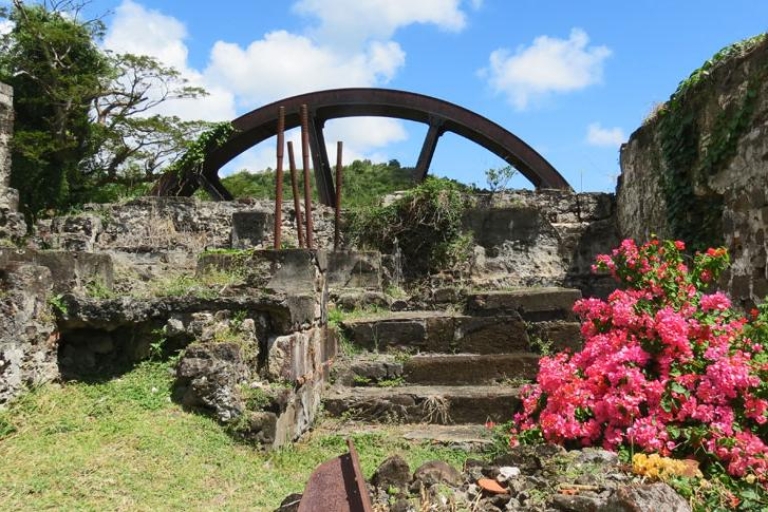 Grenada: Full-Day Tour with Chocolate and Rum Sampling