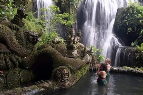 Bali: Taman Beji Griya Waterfall Purification Ceremony