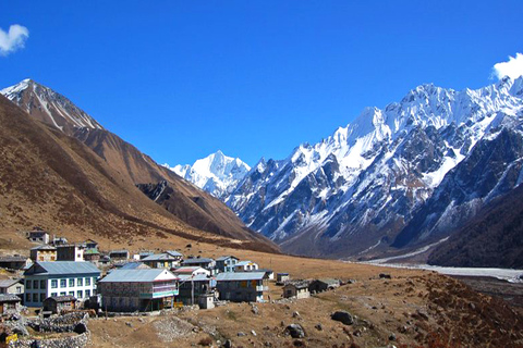 Trekking dans la vallée du Langtang